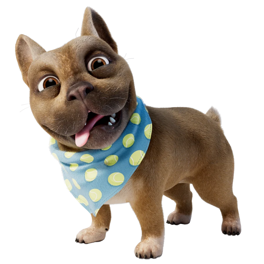 Bobby, the FAST Heroes dog